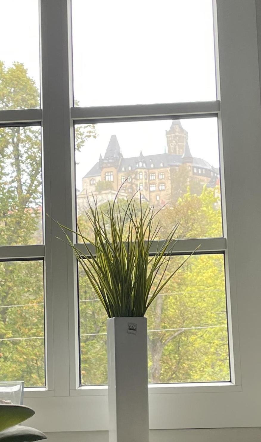 شقة Haus Kreuzberg Mit Schlossblick فيرنغروده المظهر الخارجي الصورة